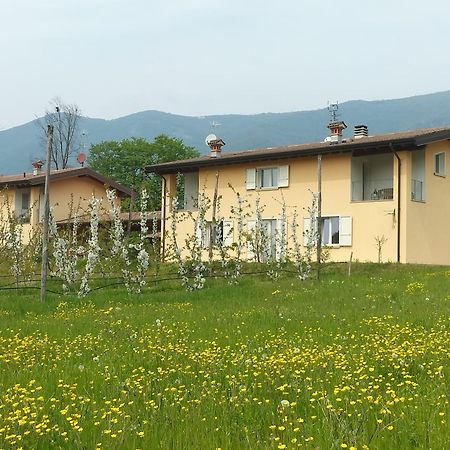 CASCINA LEGNAGO near Garda lake - bilocale Villanuova sul clisi Dış mekan fotoğraf