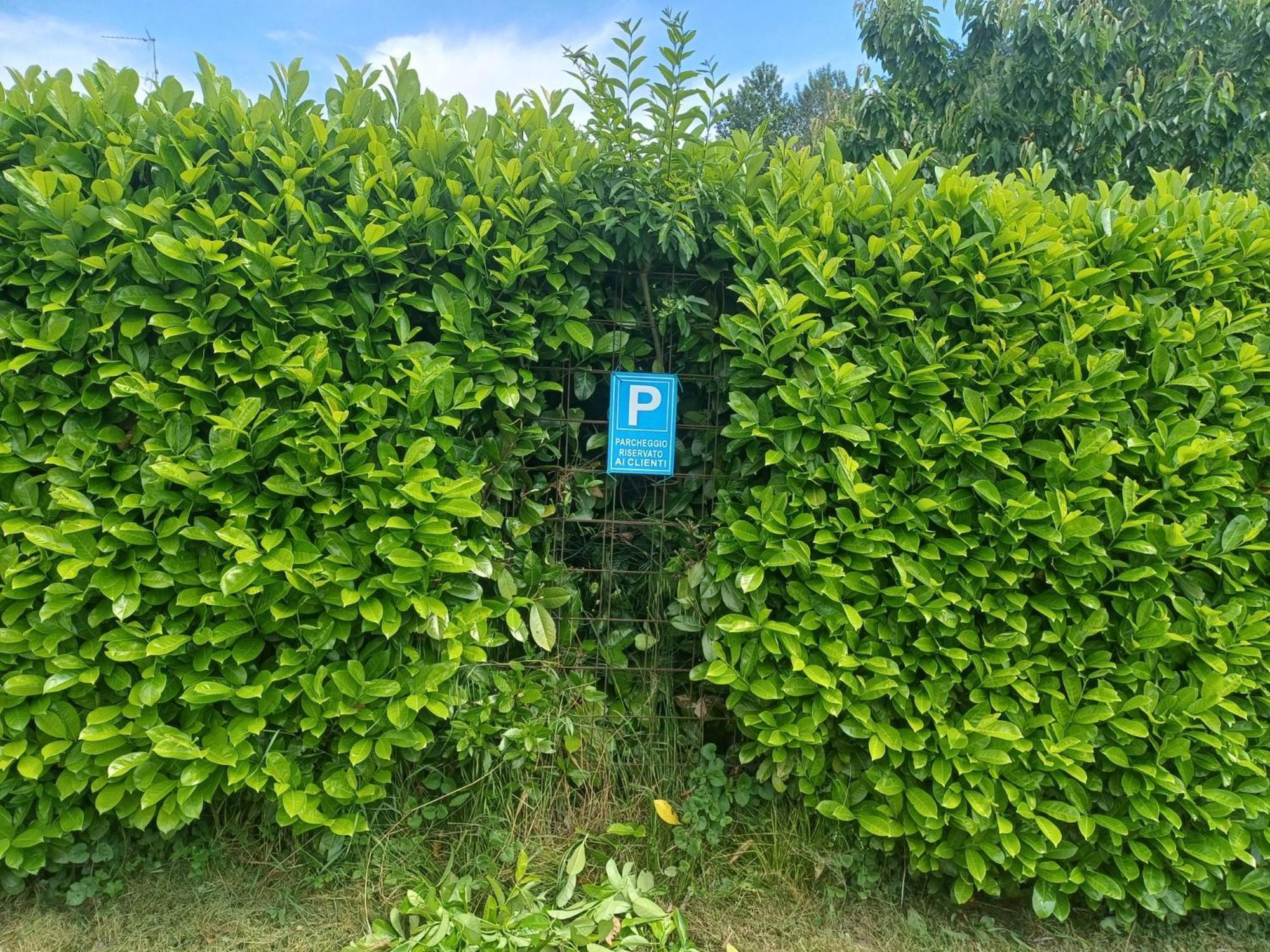 CASCINA LEGNAGO near Garda lake - bilocale Villanuova sul clisi Dış mekan fotoğraf