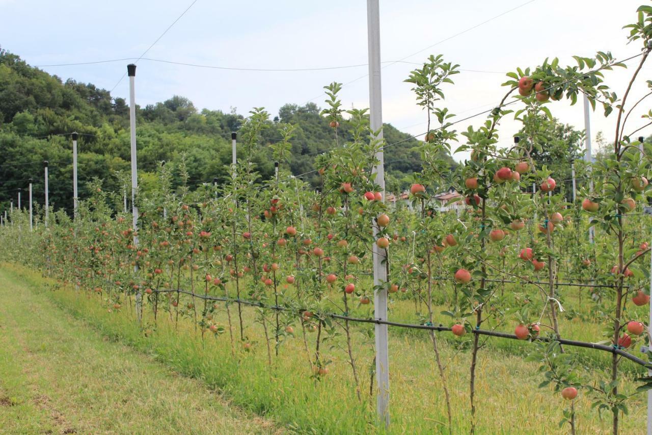 CASCINA LEGNAGO near Garda lake - bilocale Villanuova sul clisi Dış mekan fotoğraf